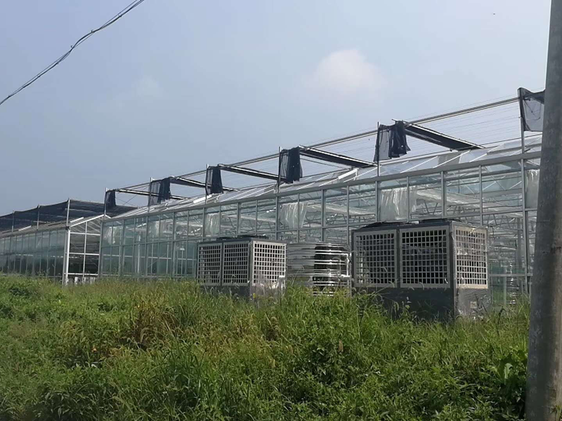 蝴蝶蘭溫室種植大棚采暖系統